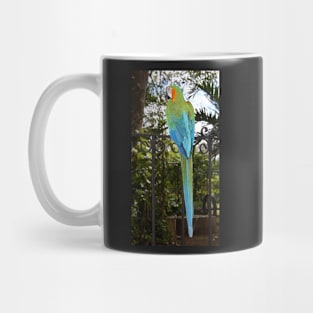 Harlequin Macaw Mug